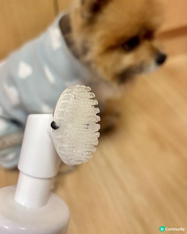 毛孩小腳掌恩物