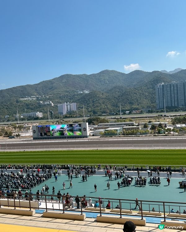 沙田馬場打卡攻略📍必食＋必睇＋必影