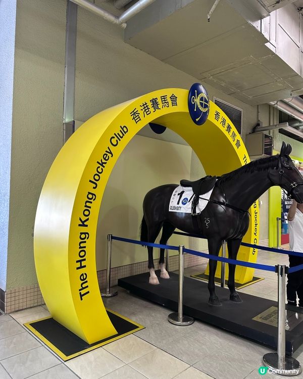 沙田馬場打卡攻略📍必食＋必睇＋必影