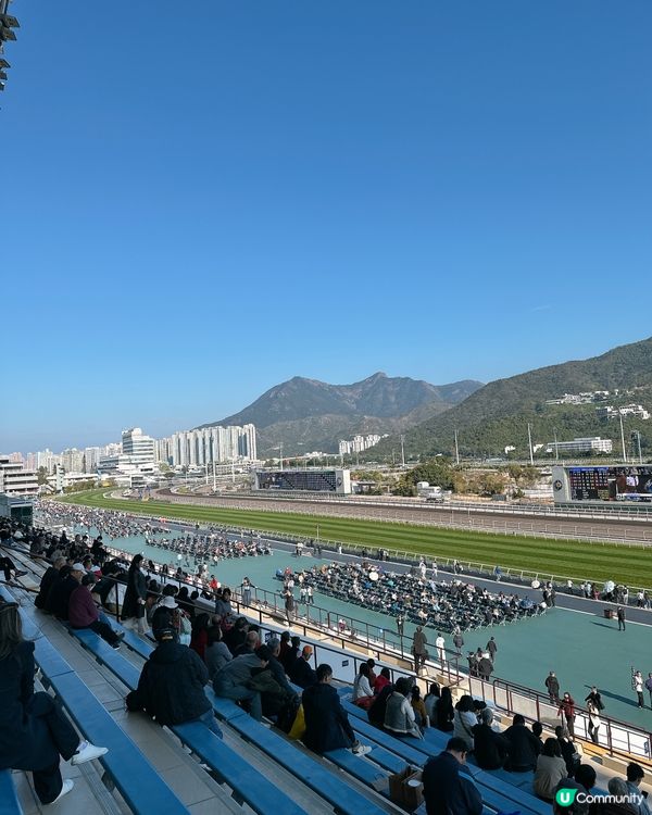 沙田馬場打卡攻略📍必食＋必睇＋必影