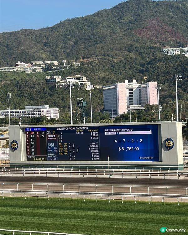 沙田馬場打卡攻略📍必食＋必睇＋必影