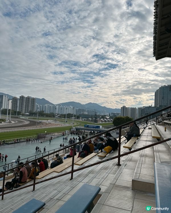 沙田馬場打卡攻略📍必食＋必睇＋必影