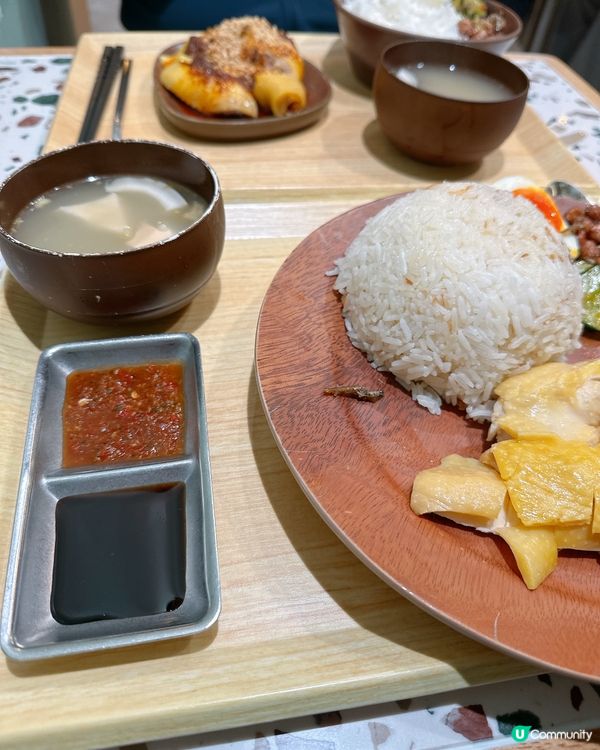 大埔海南雞飯！🤤 $69有雞又有飯！