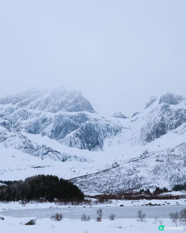 極光季必住🌌洛弗敦峽灣小屋 3 要點!