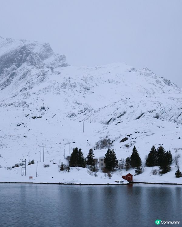 極光季必住🌌洛弗敦峽灣小屋 3 要點!