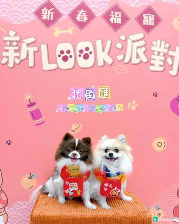 北角匯新春福寵新look派對🎉