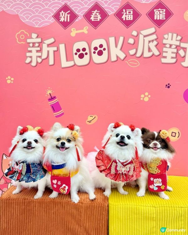 北角匯新春福寵新look派對🎉