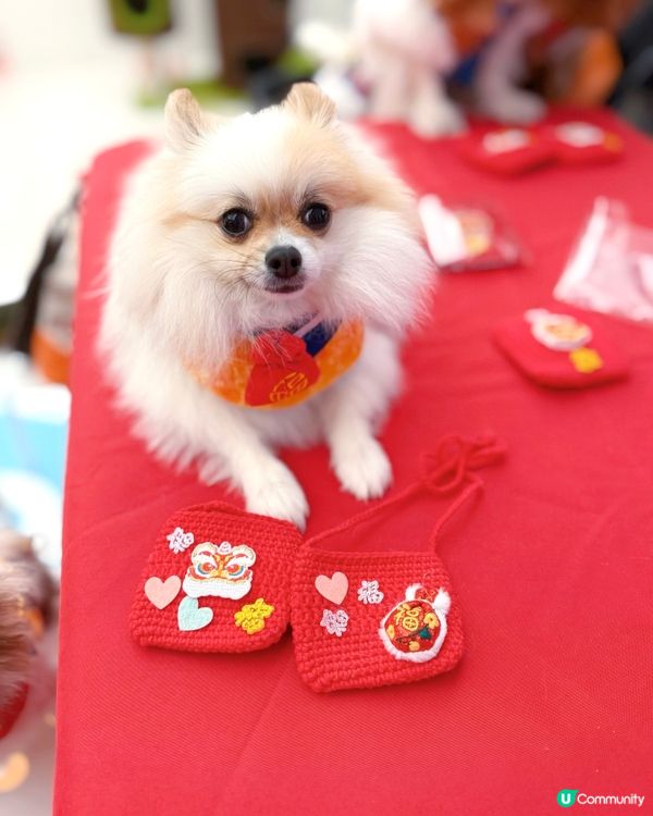 北角匯新春福寵新look派對🎉