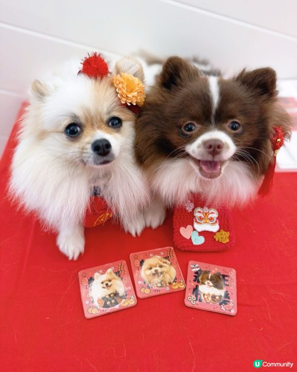 北角匯新春福寵新look派對🎉