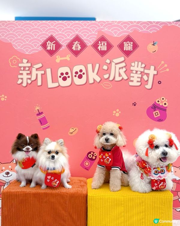 北角匯新春福寵新look派對🎉