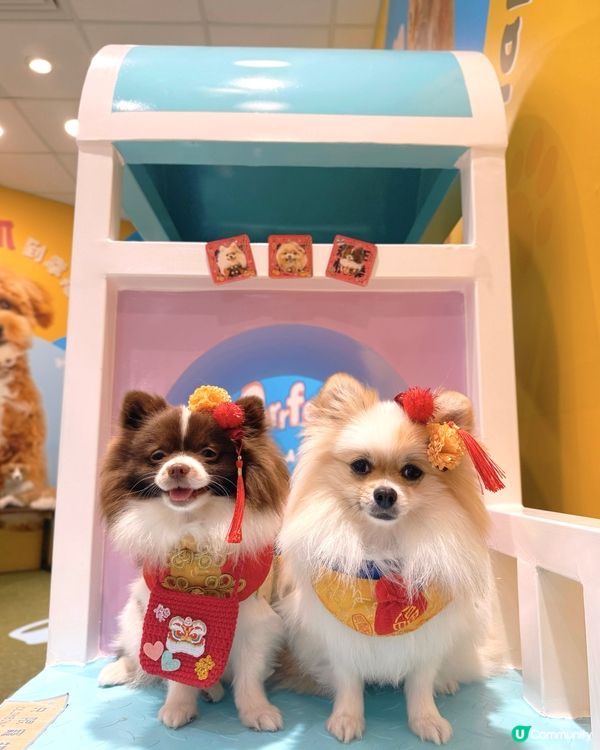 北角匯新春福寵新look派對🎉