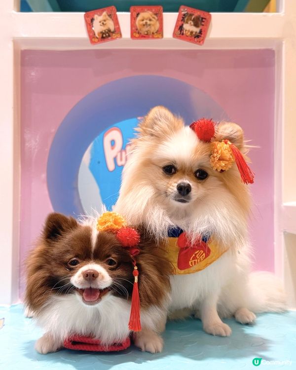 北角匯新春福寵新look派對🎉