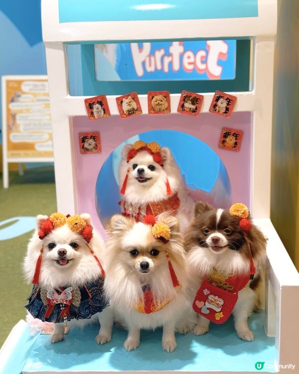 北角匯新春福寵新look派對🎉