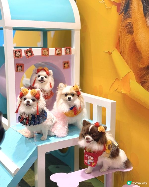 北角匯新春福寵新look派對🎉