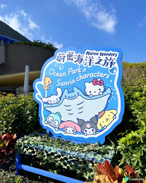 🐬情人節海洋公園浪漫遊！🐬💖