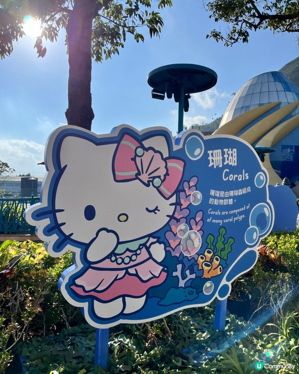 🐬情人節海洋公園浪漫遊！🐬💖