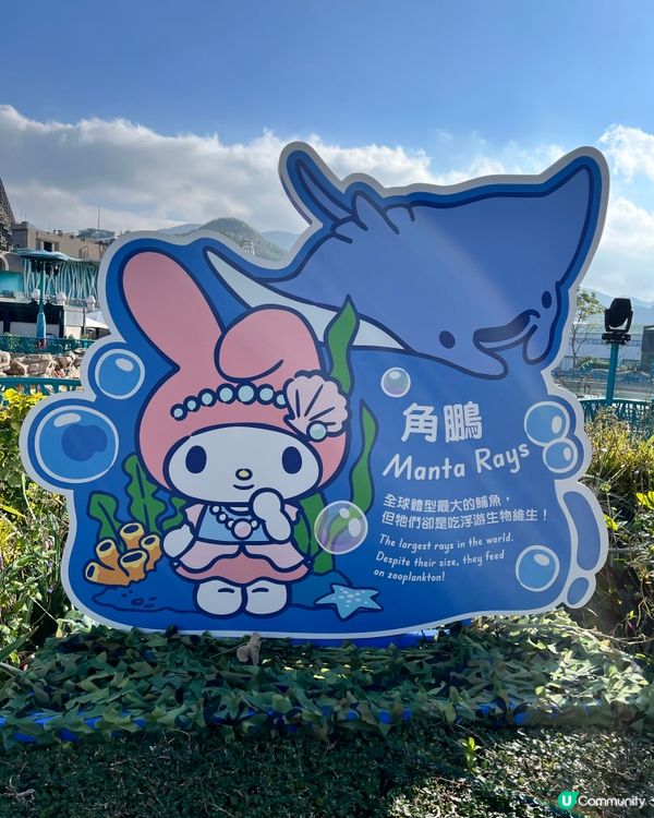 🐬情人節海洋公園浪漫遊！🐬💖