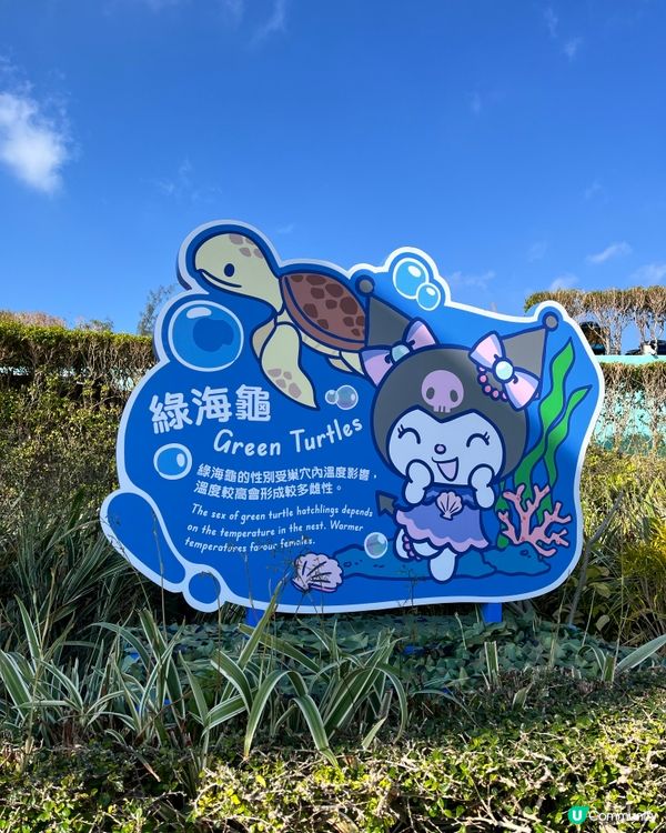 🐬情人節海洋公園浪漫遊！🐬💖