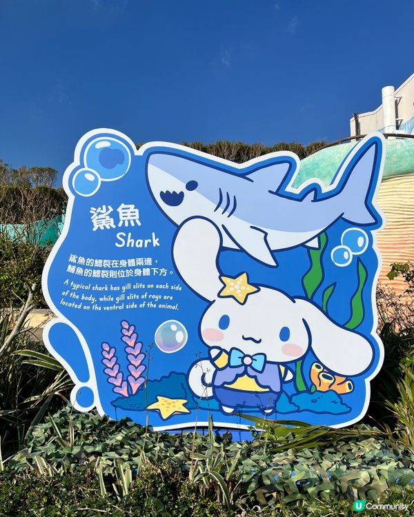 🐬情人節海洋公園浪漫遊！🐬💖