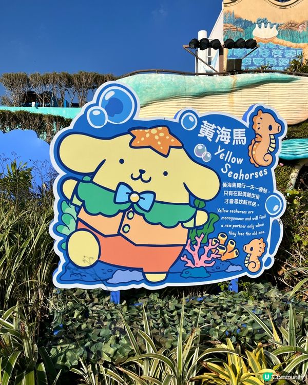 🐬情人節海洋公園浪漫遊！🐬💖