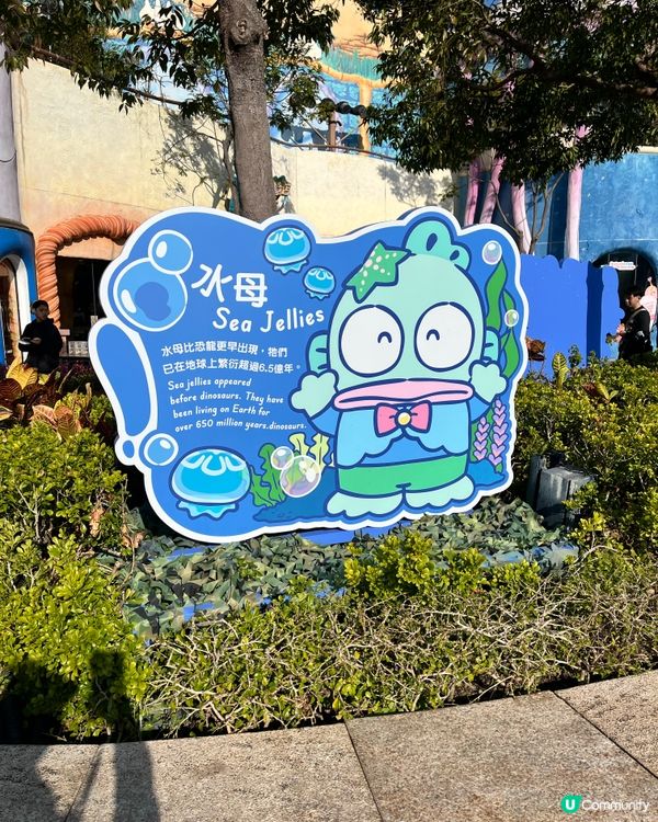 🐬情人節海洋公園浪漫遊！🐬💖