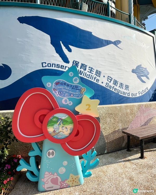 🐬情人節海洋公園浪漫遊！🐬💖