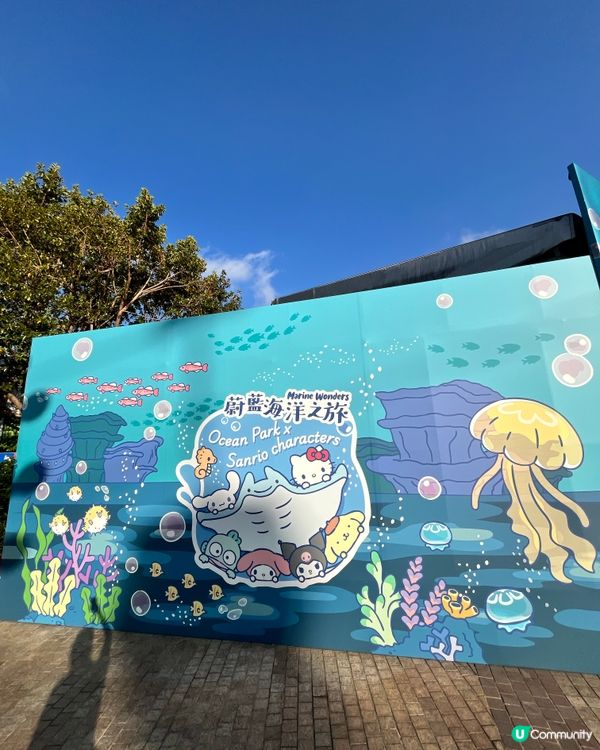 🐬情人節海洋公園浪漫遊！🐬💖
