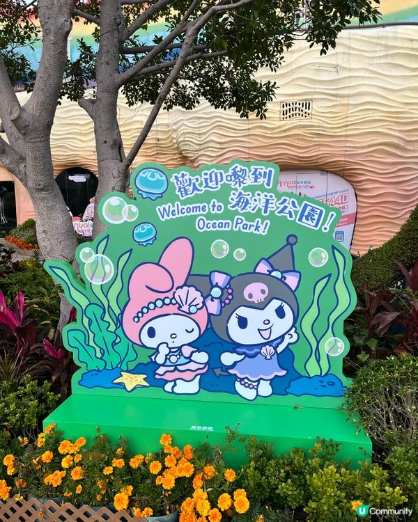 🐬情人節海洋公園浪漫遊！🐬💖