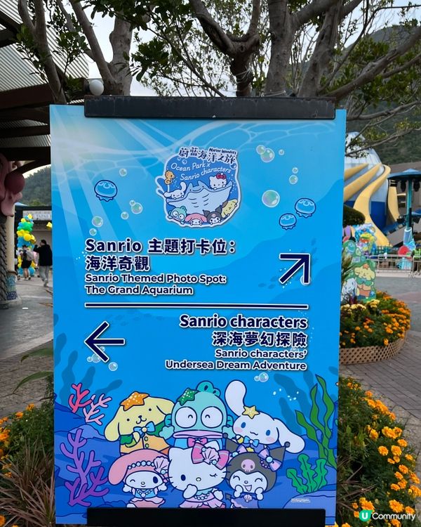 🐬情人節海洋公園浪漫遊！🐬💖