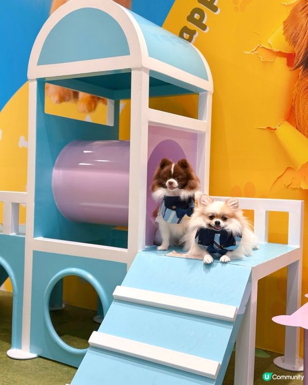 北角匯VIPet Park全新升級！