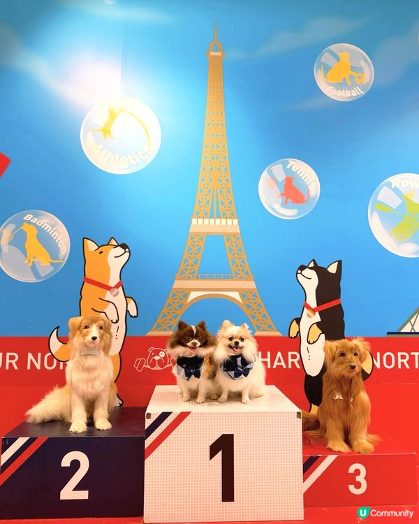 北角匯VIPet Park全新升級！