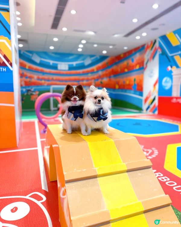 北角匯VIPet Park全新升級！