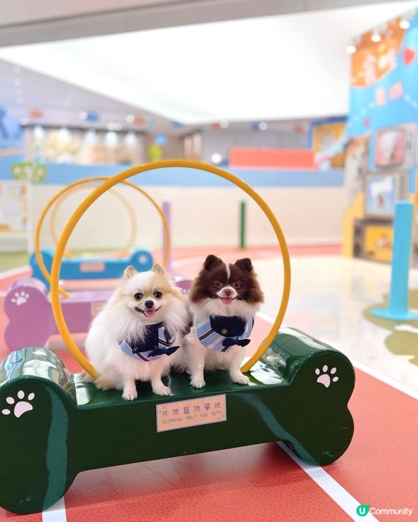 北角匯VIPet Park全新升級！