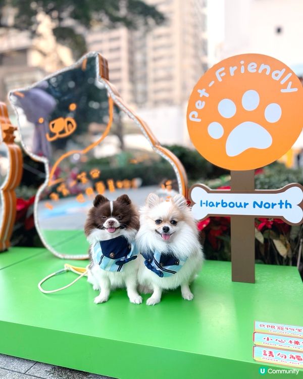 北角匯VIPet Park全新升級！