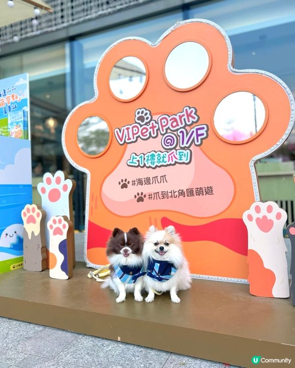 北角匯VIPet Park全新升級！