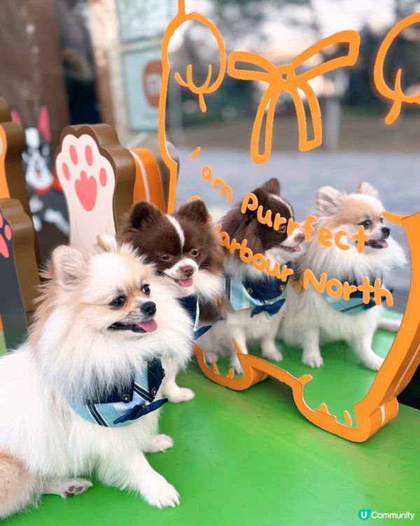 北角匯VIPet Park全新升級！