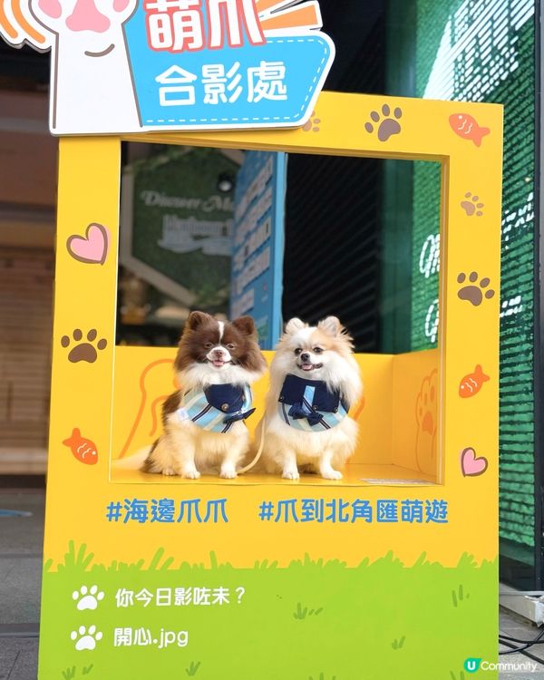 北角匯VIPet Park全新升級！