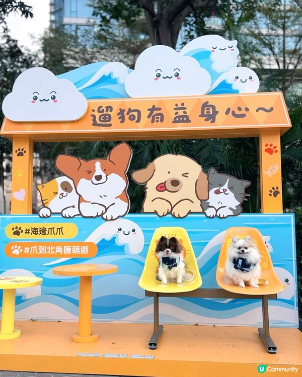 北角匯VIPet Park全新升級！