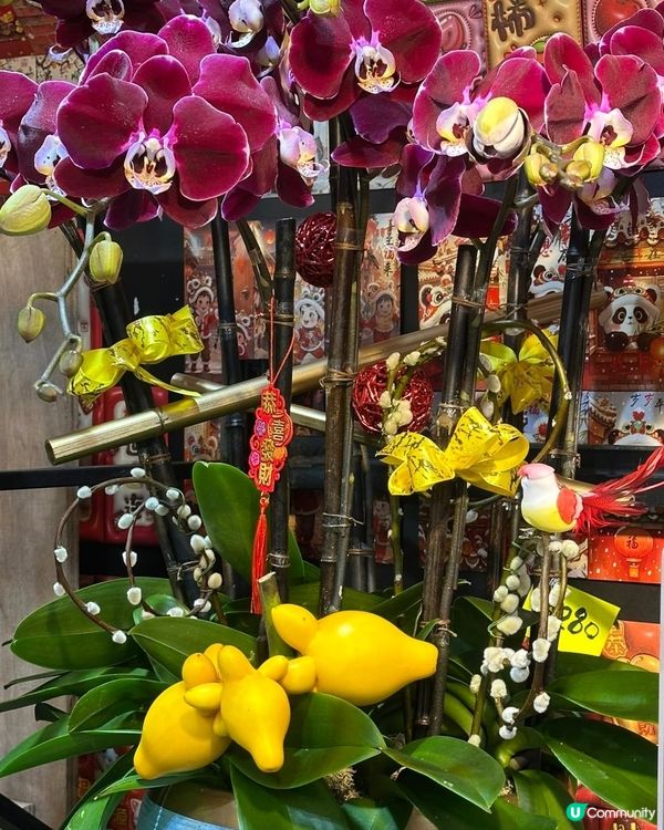 🛍️🧧深圳領展中心辦年貨🧧🛍️