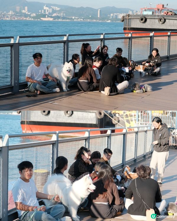養小狗的第一天我就建了這個群