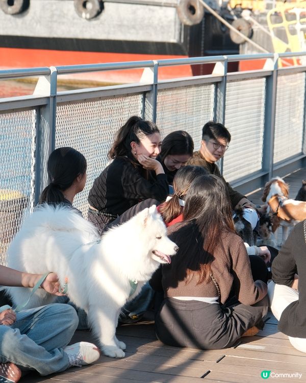 養小狗的第一天我就建了這個群
