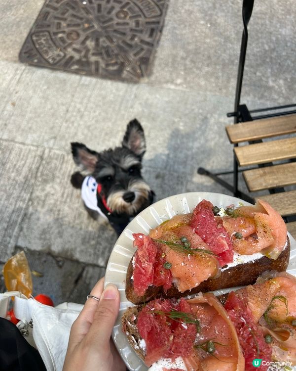 養小狗的第一天我就建了這個群