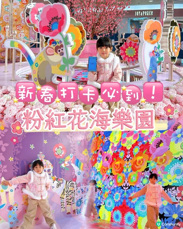 粉紅花海樂園🌸打卡必到！📸