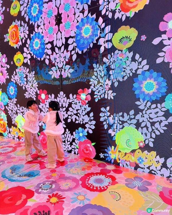 粉紅花海樂園🌸打卡必到！📸