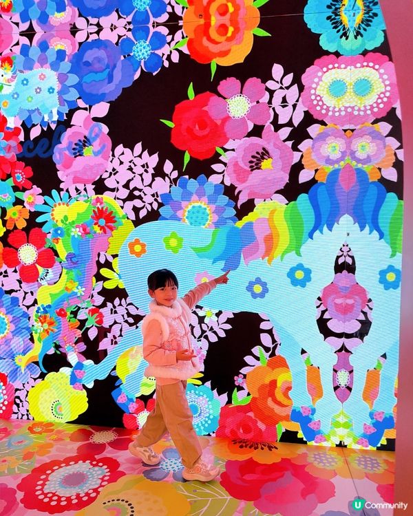 粉紅花海樂園🌸打卡必到！📸