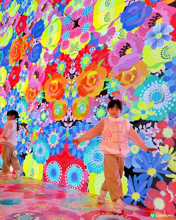 粉紅花海樂園🌸打卡必到！📸