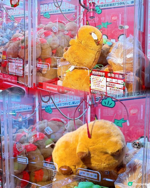 黃埔新店！夾公仔送黃金！🤩