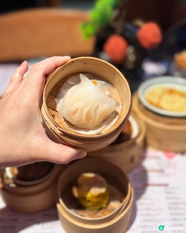 一盅一件咁過癮！免茶芥免加一！🤤