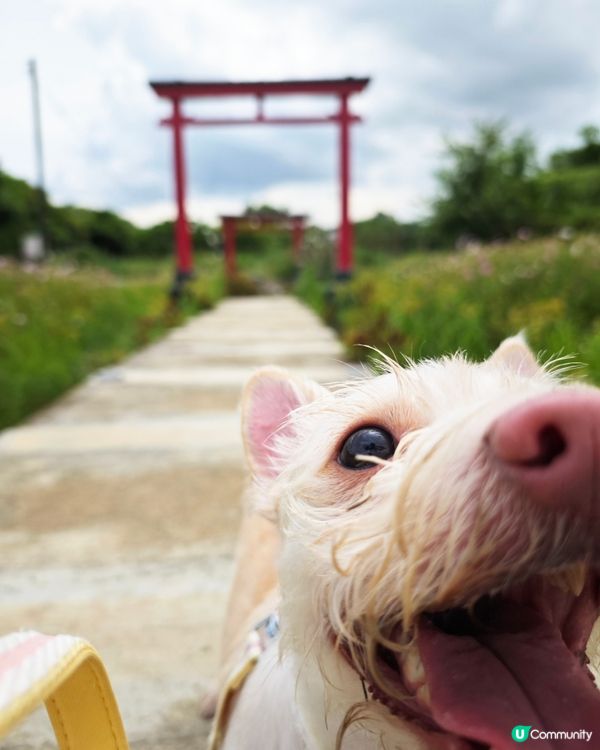 元朗信芯園