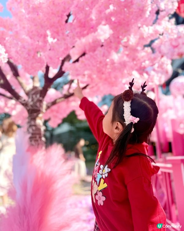 😍🙀超靚粉紅花海🌸約定你新年必到打卡位！💞🫰🏻